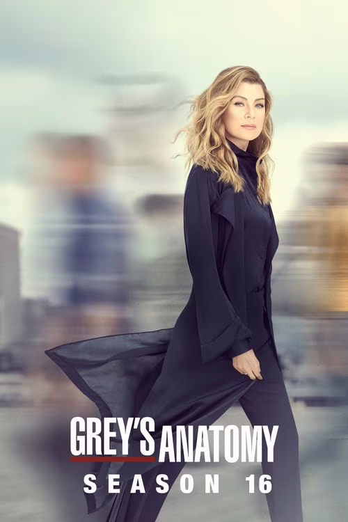 Grey's Anatomy-Season 16