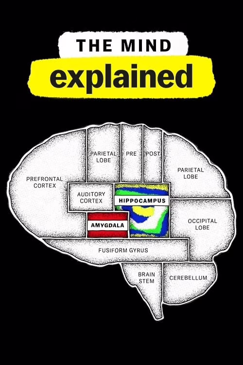 The Mind, Explained-Season 2