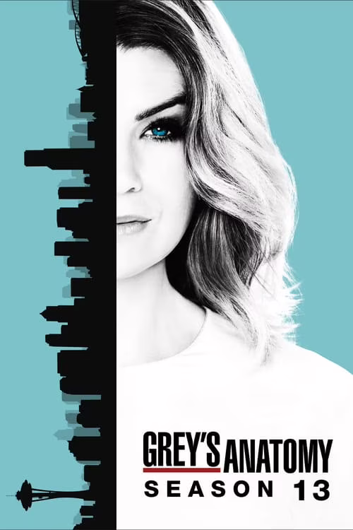 Grey's Anatomy-Season 13