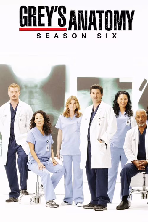 Grey's Anatomy-Season 6