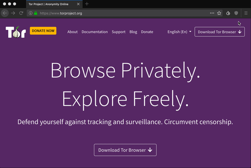 Il Tor browser