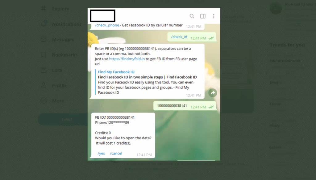Il bot Telegram permette l'accesso al numero di telefono dato l'ID dell'account Facebook. Credits: Alon Gal