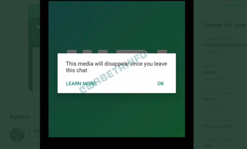 Uno screen di WABetaInfo delle foto temporizzate.