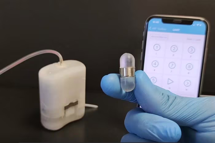 Il PILLSID, il robot impiantabile per la cura del diabete realizzato dai ricercatori della Scuola Superiore Sant'Anna di Pisa. Nella foto si può vedere l'impianto robotico (la scatoletta bianca) e una capsula, dotata di una banda magnetica, per trasportare insulina e agganciarsi alla parte bassa dell'impianto.
Credits: Scuola Superiore Sant'Anna.