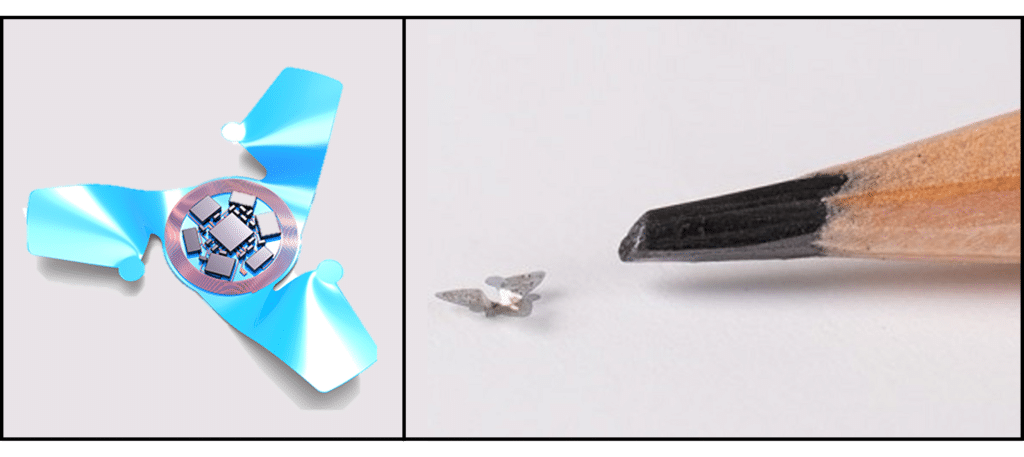 Il microchip più piccolo del mondo realizzato alla Northwestern University di Chicago è più piccolo anche della punta di una matita (figura a destra). Sulla sinistra, invece, si può vedere il modello utilizzato dai ricercatori per ottenere la forma che ricorda la foglia di Tristellateia. Credit: Northwestern University.
