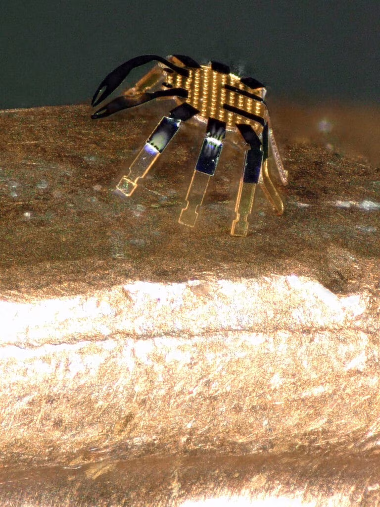 granchio robot telecomandato