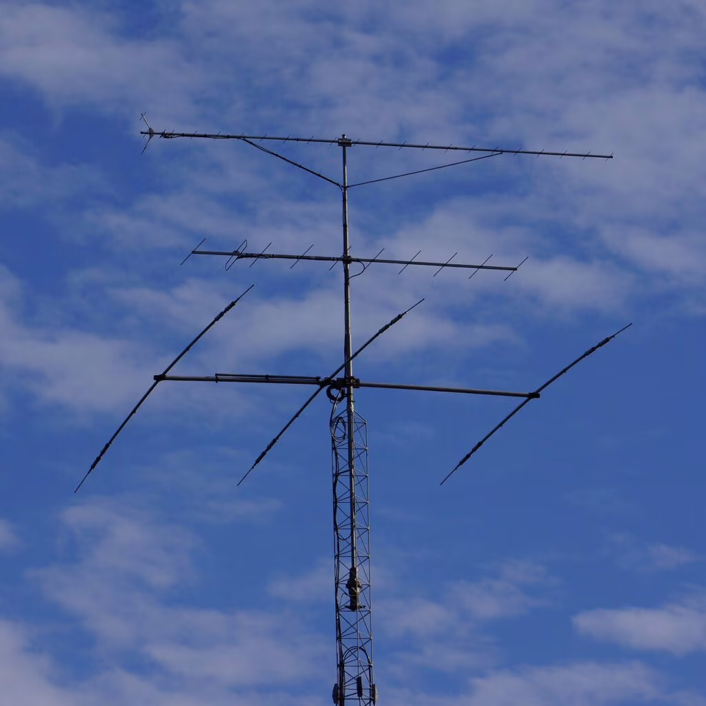 Antenna immagine  royalty free