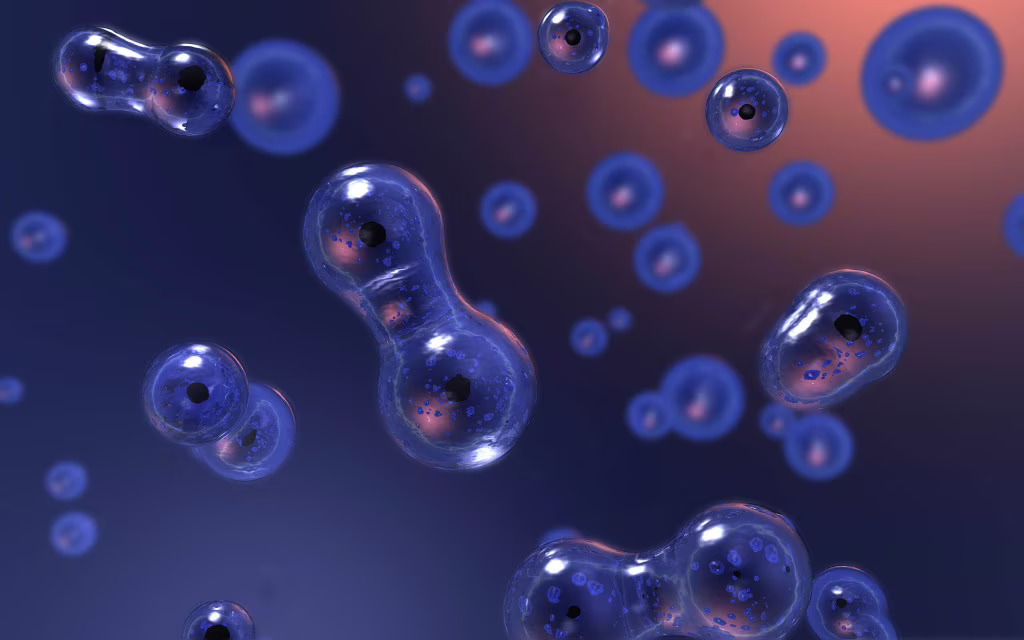 Simulazione cellulare: verso nuove frontiere della bioingegneria