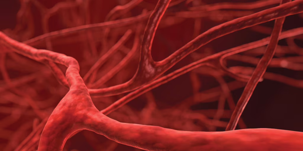 Bioprinting: creati vasi sanguigni sintetici tramite stampa 3D
