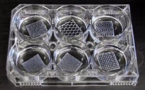 Scaffold 3D bioprinting