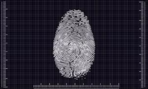 impronte digitali