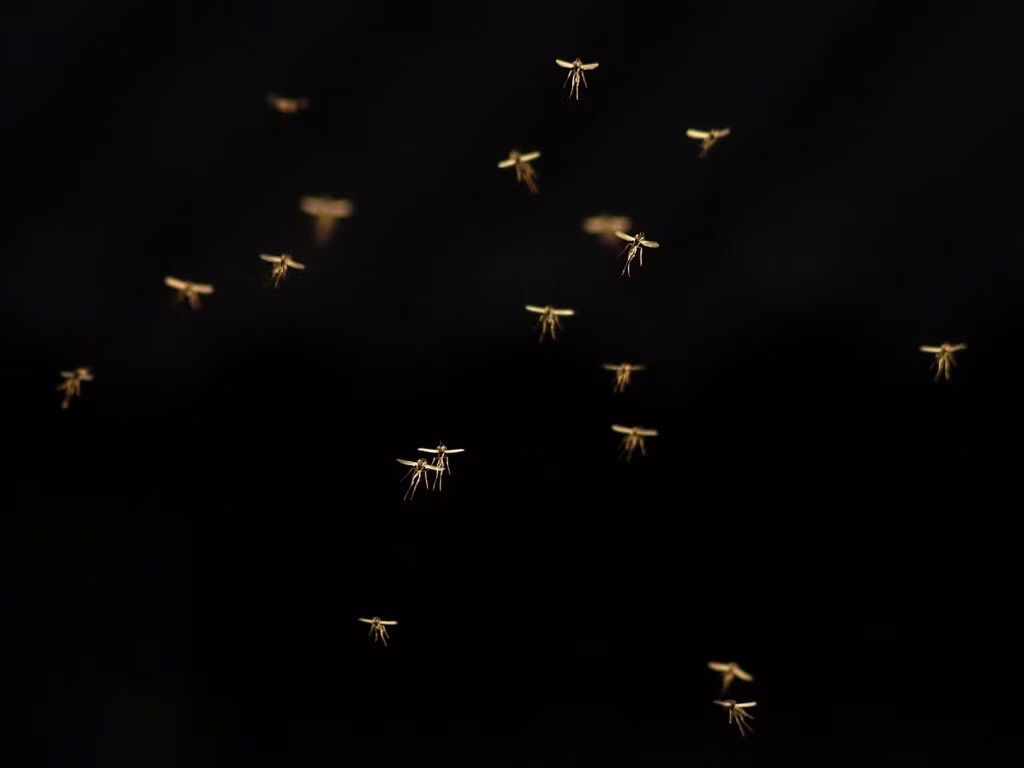 vaccino malaria