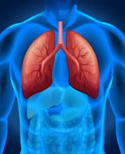 lung-on-chip