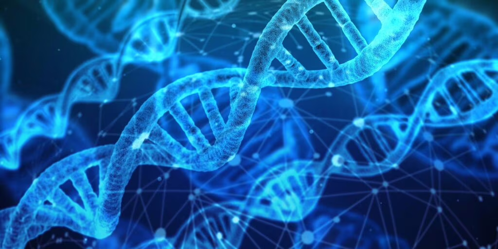 Epigenetica: un mondo che influenza la nostra vita e la nostra eredità