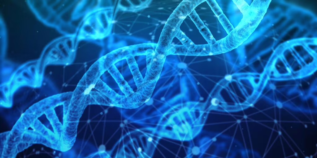 Trovato nel Dna un “interruttore” per ripristinare l’udito