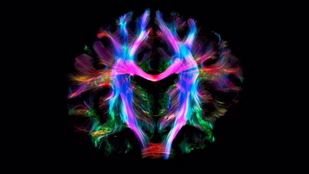 Imaging in medicina: strumento di studio morfologico ora anche funzionale