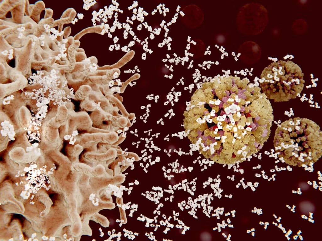 Risposta immunitaria: differenza tra immunità innata e acquisita