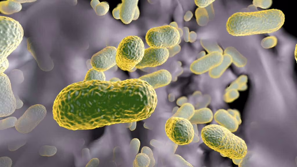 Un’AI ha identificato un farmaco contro un superbatterio