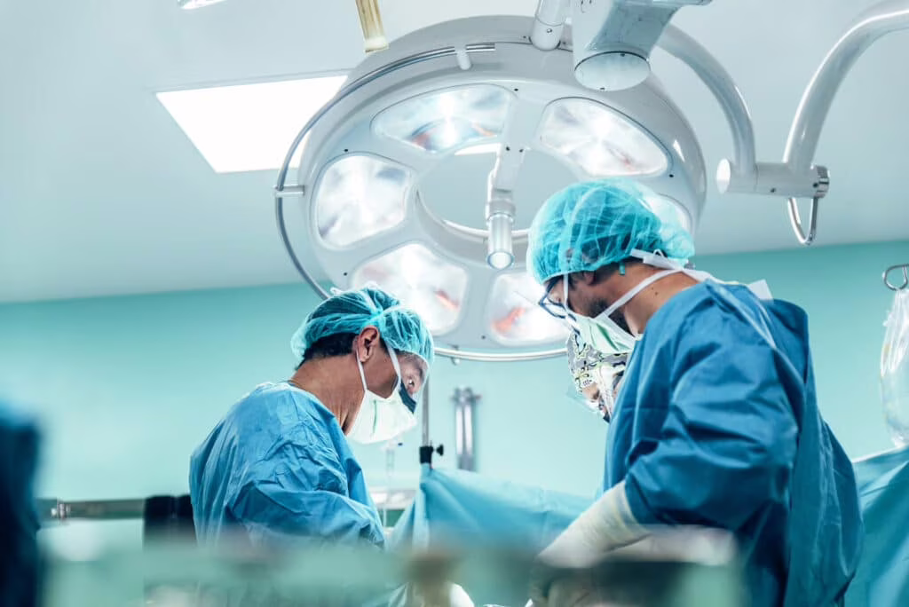 Effettuato con successo il primo trapianto di reni congelati nei topi