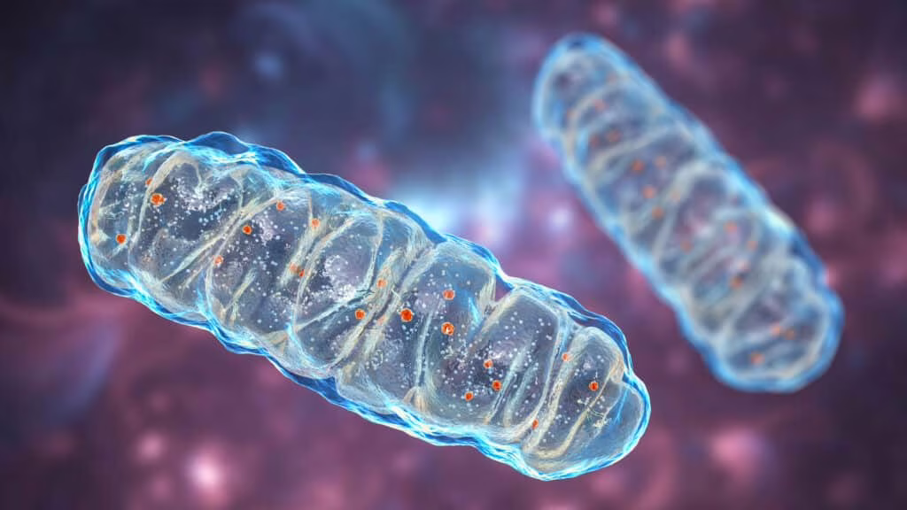 Aciduria combinata D,L-2-idrossiglutarica: cos’è, cause e prognosi