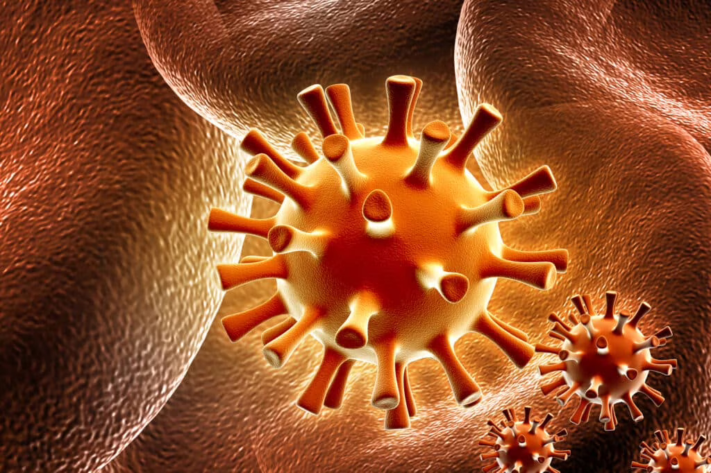 Come l’herpesvirus dei polli è divenuto una minaccia globale