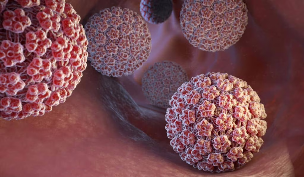 HPV: cos’è, trasmissione, prevenzione e sfide