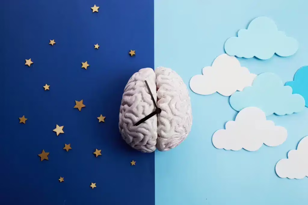 Nel sonno il cervello anticipa il futuro: non solo consolidazione dei ricordi