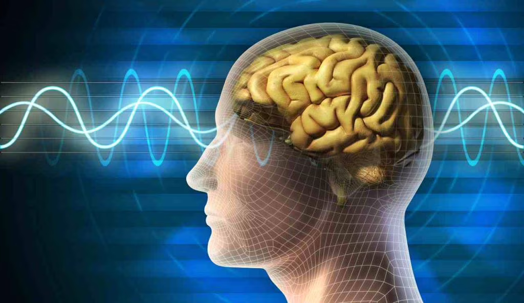 Lo studio rivela dato sconcertante, ecco come in questi anni si è ridotta la grandezza del nostro cranio | Dovremmo iniziare a preoccuparci
