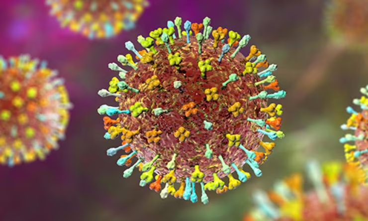 Virus Napah