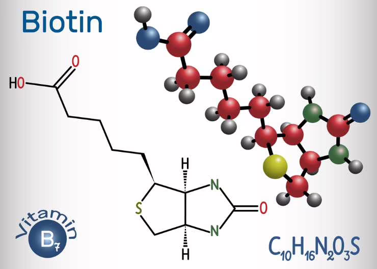 biotina