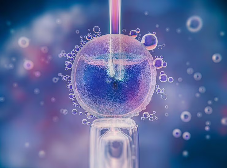 Come si effettua la fecondazione mitocondriale