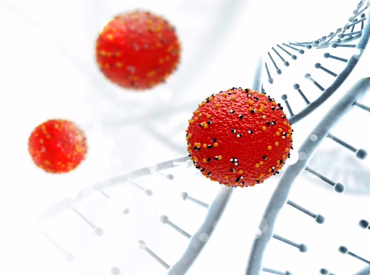 La funzione dell'ecDNA per la ricerca sul cancro