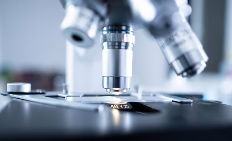 visione batteri al microscopio