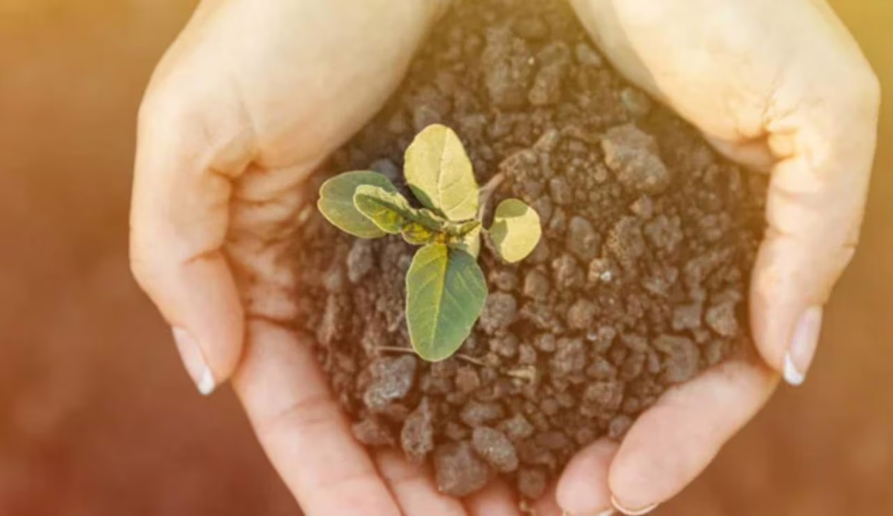Benefici della terra (Depositphotos foto)