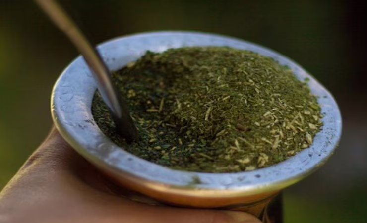 yerba mate