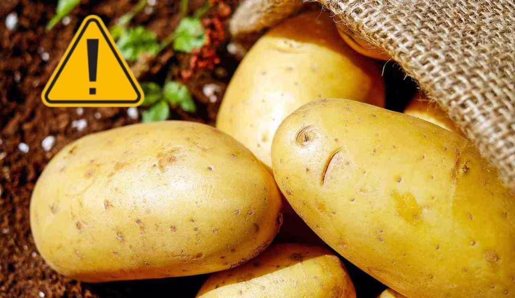 Patate (Pixabay foto)
