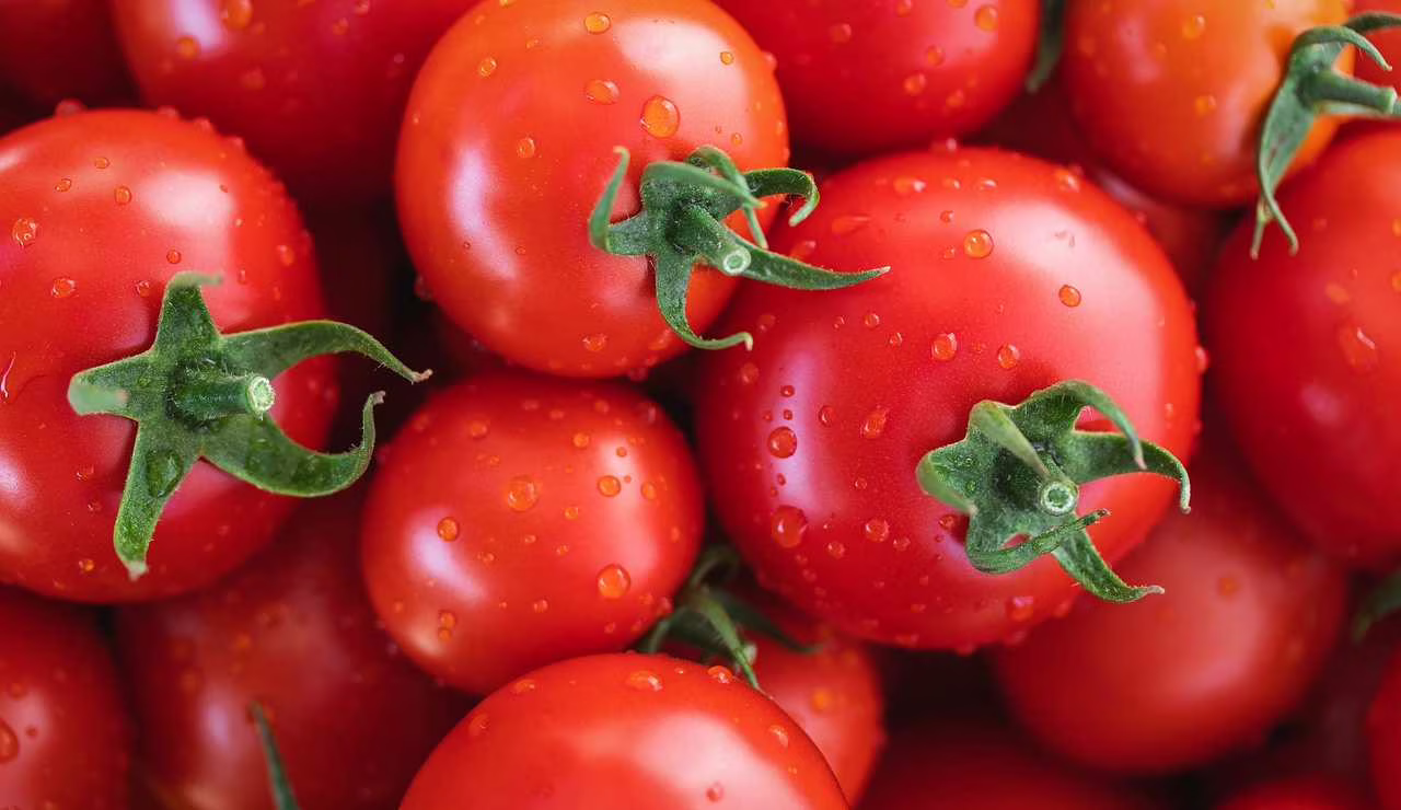 Pomodori (Pixabay foto)