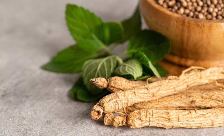 Ginseng