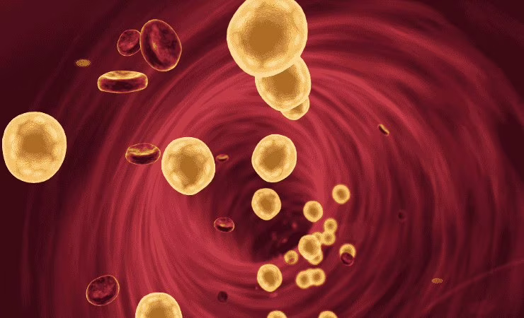 colesterolo nel sangue