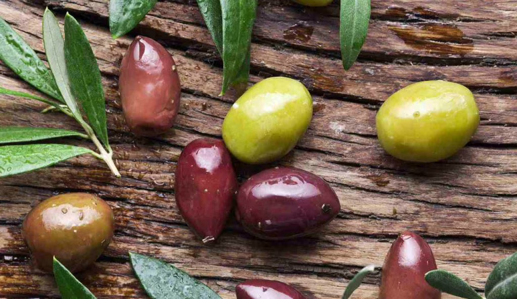 Una tira l’altra: attenzione a non superare questa dose di olive | Sono poco caloriche ma un abuso ti fa esplodere il cervello