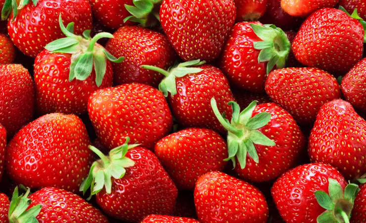 Fragole