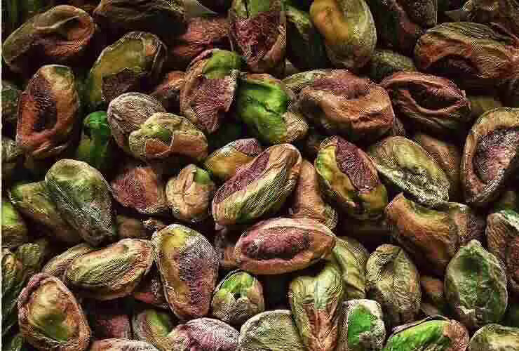 Pistacchio