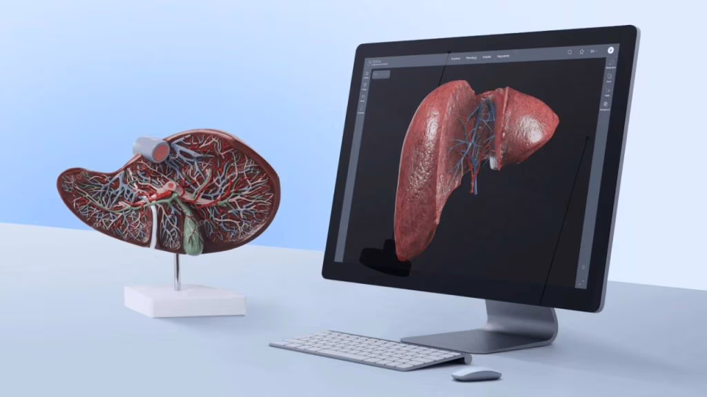 Esplorazione dei sistemi del corpo umano tramite modelli 3D
