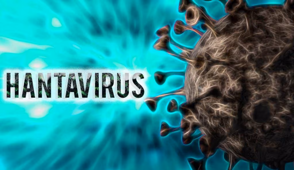 Hantavirus: dal fiume Hantan a una nave da crociera nel mezzo dell’Atlantico