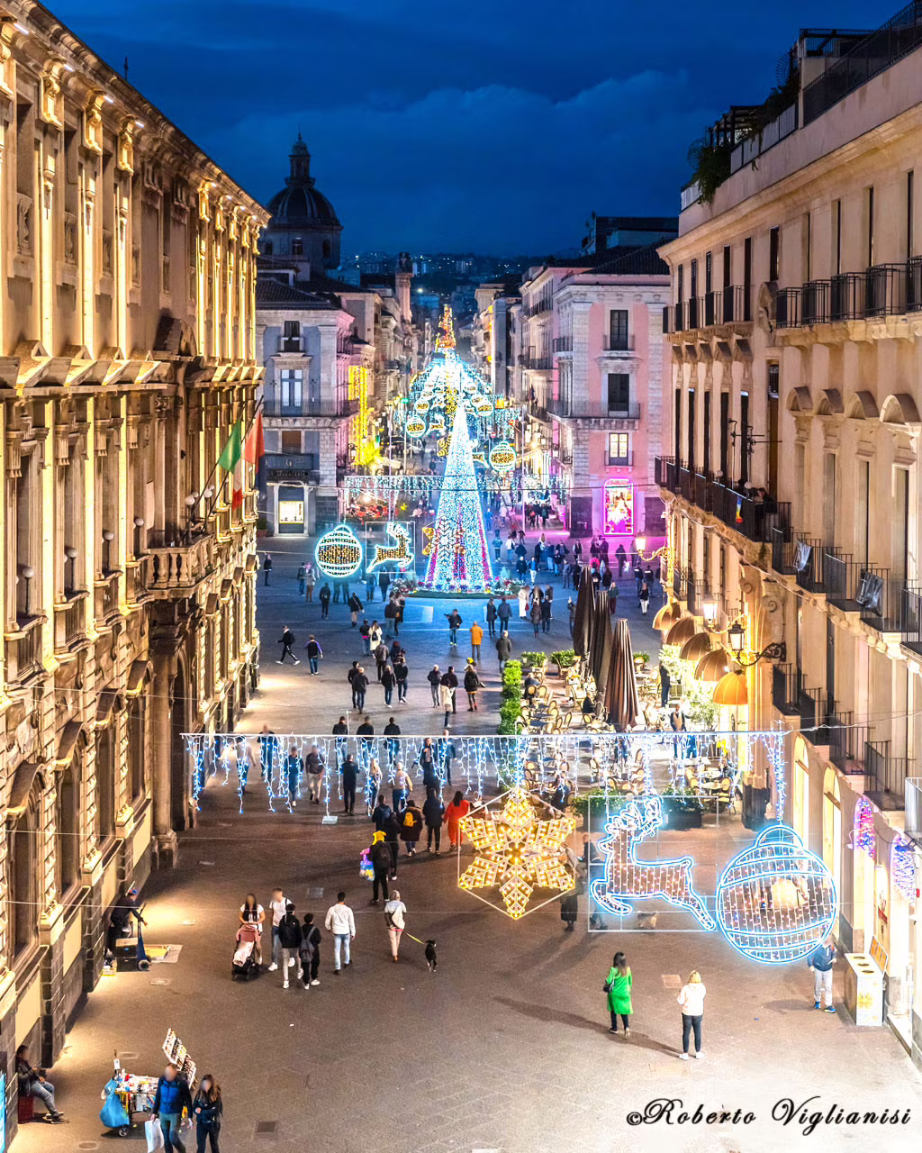 Natale 2022, accesi il grande albero di piazza Università