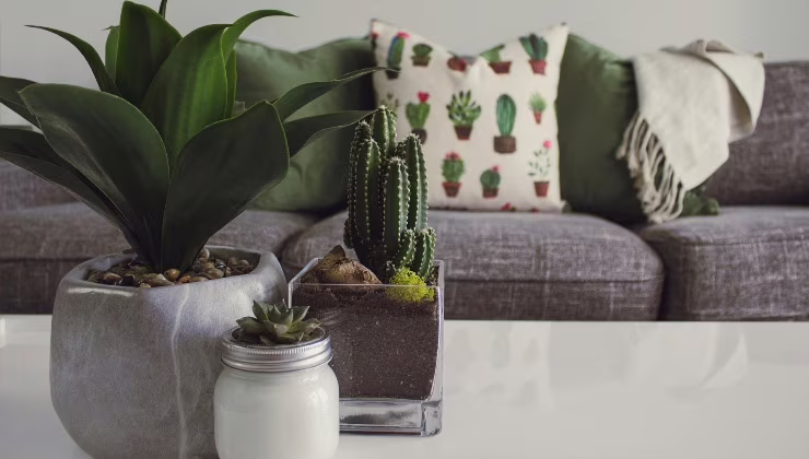 Bonus mobili - (cataniaoggi.it-pexels)