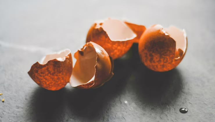 Gusci d'uovo - (cataniaoggi.it-pexels)