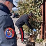 Nucleo Investigativo di Catania sequestra marijuana e denuncia due giovani