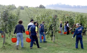 studenti agricoltura