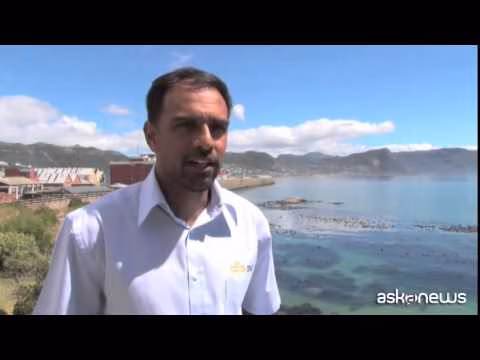 Sudafrica: barriera high-tech contro gli squali per i surfisti